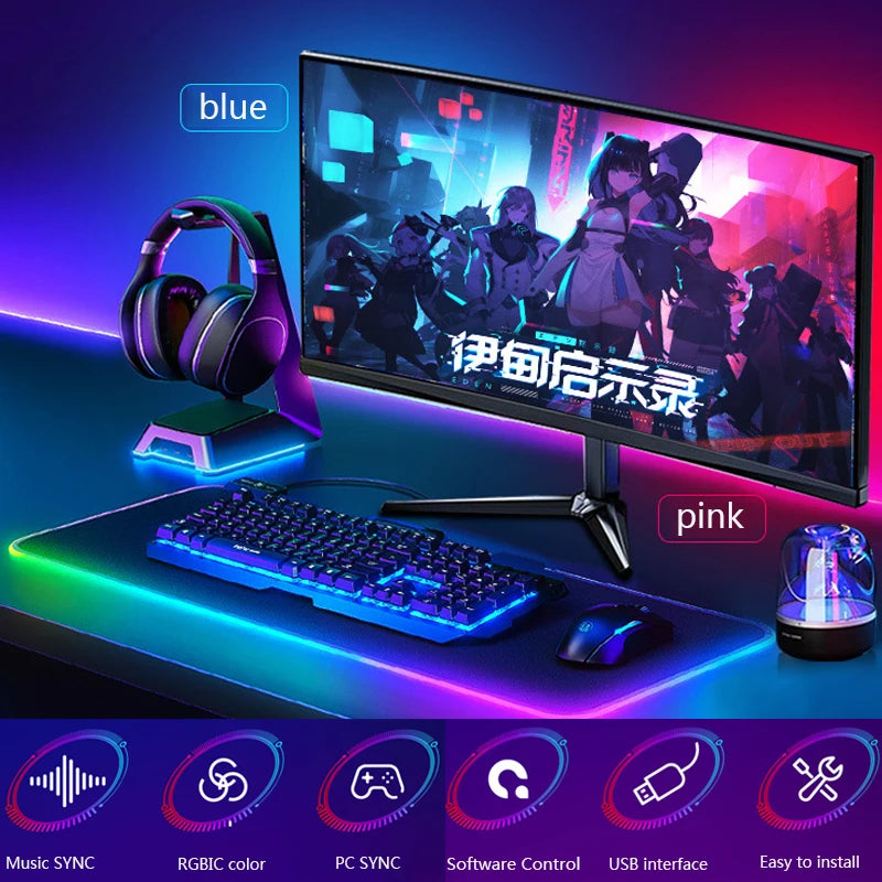 RGBIC Monitor Sync Lighting
