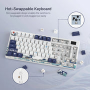 Womier SK80 RGB Mechanical Keyboard