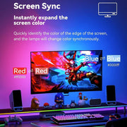 RGBIC Monitor Sync Lighting