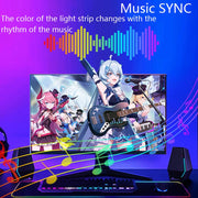 RGBIC Monitor Sync Lighting